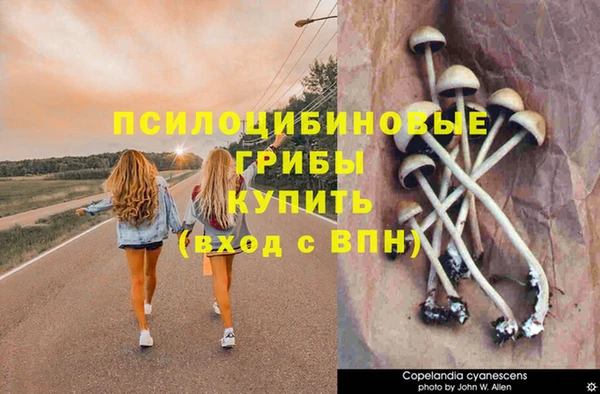 сатива Бугульма