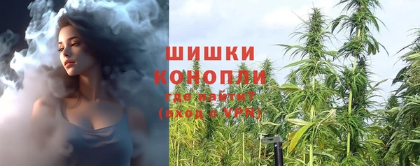 молекула духа Волоколамск