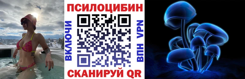 Псилоцибиновые грибы прущие грибы  Вольск 